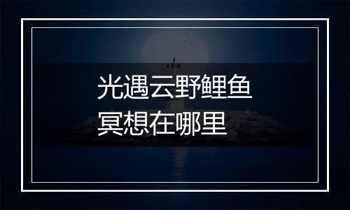 光遇云野鲤鱼冥想在哪里