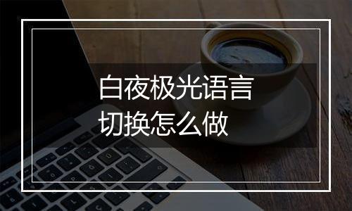 白夜极光语言切换怎么做