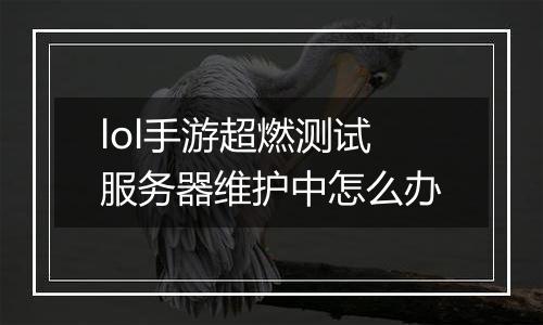 lol手游超燃测试服务器维护中怎么办