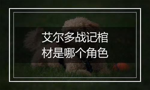 艾尔多战记棺材是哪个角色