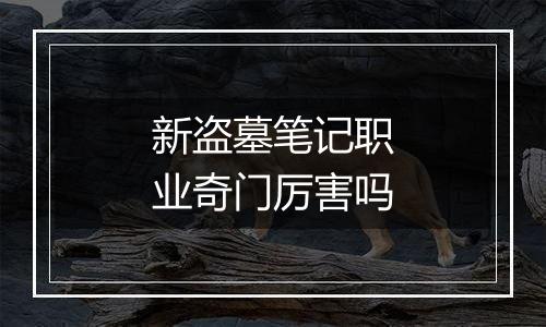 新盗墓笔记职业奇门厉害吗