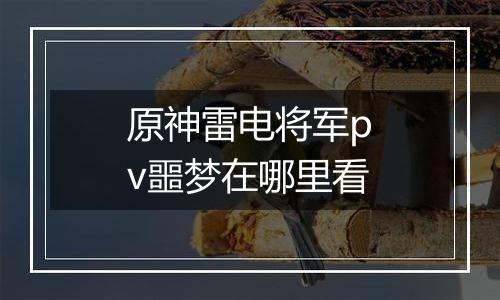 原神雷电将军pv噩梦在哪里看