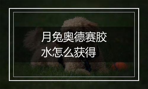 月兔奥德赛胶水怎么获得