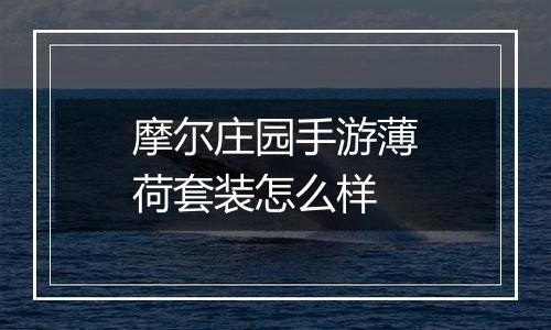 摩尔庄园手游薄荷套装怎么样