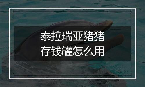 泰拉瑞亚猪猪存钱罐怎么用