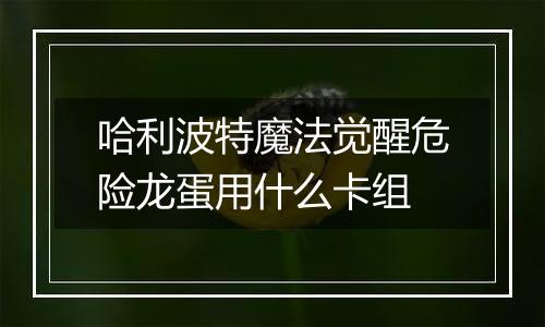 哈利波特魔法觉醒危险龙蛋用什么卡组