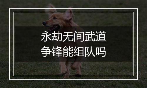 永劫无间武道争锋能组队吗