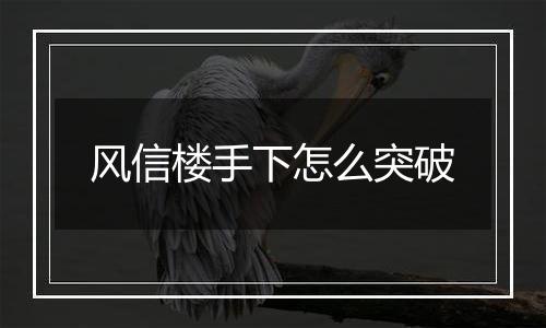 风信楼手下怎么突破