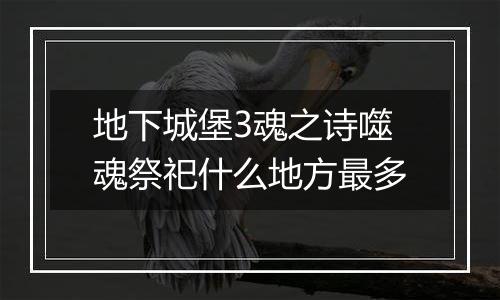 地下城堡3魂之诗噬魂祭祀什么地方最多