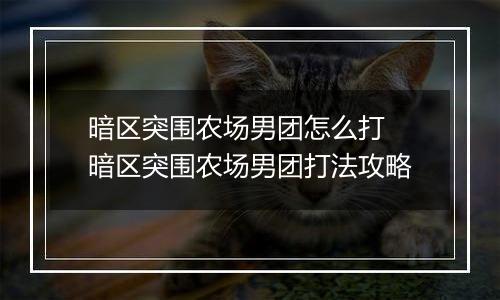 暗区突围农场男团怎么打 暗区突围农场男团打法攻略