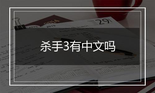 杀手3有中文吗