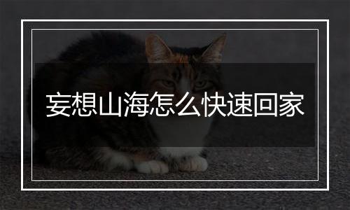 妄想山海怎么快速回家