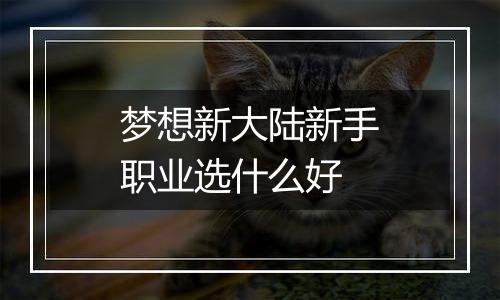 梦想新大陆新手职业选什么好