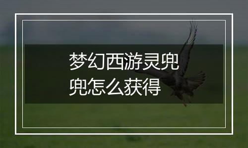 梦幻西游灵兜兜怎么获得