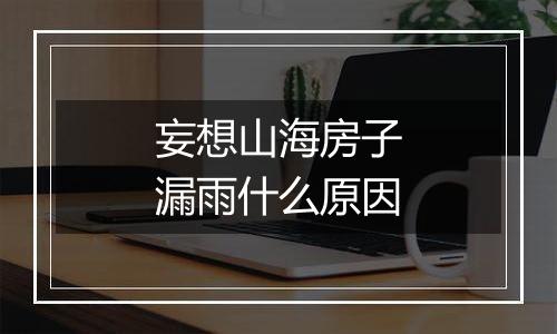 妄想山海房子漏雨什么原因