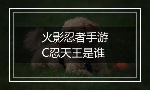 火影忍者手游C忍天王是谁
