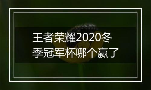 王者荣耀2020冬季冠军杯哪个赢了