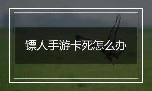 镖人手游卡死怎么办