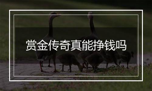 赏金传奇真能挣钱吗