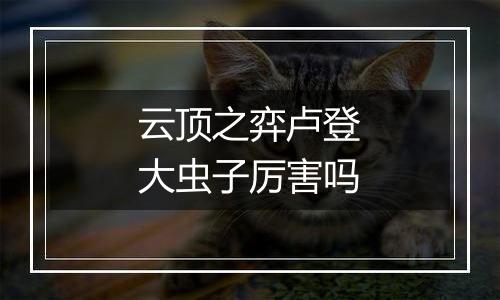 云顶之弈卢登大虫子厉害吗