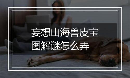 妄想山海兽皮宝图解谜怎么弄