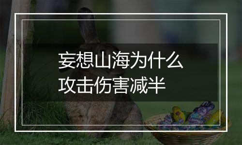 妄想山海为什么攻击伤害减半