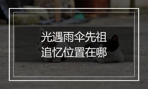 光遇雨伞先祖追忆位置在哪