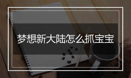 梦想新大陆怎么抓宝宝