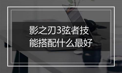 影之刃3弦者技能搭配什么最好