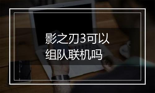 影之刃3可以组队联机吗