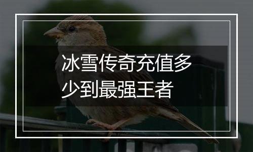 冰雪传奇充值多少到最强王者