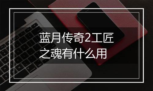 蓝月传奇2工匠之魂有什么用