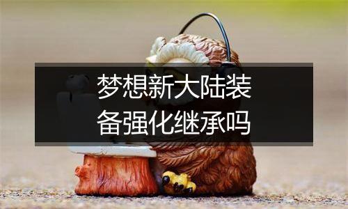 梦想新大陆装备强化继承吗