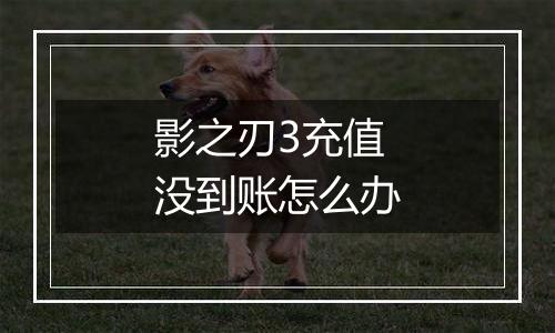 影之刃3充值没到账怎么办