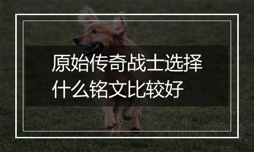 原始传奇战士选择什么铭文比较好