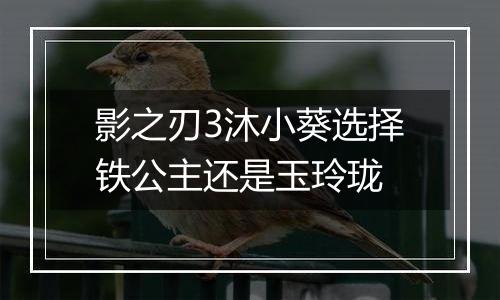 影之刃3沐小葵选择铁公主还是玉玲珑