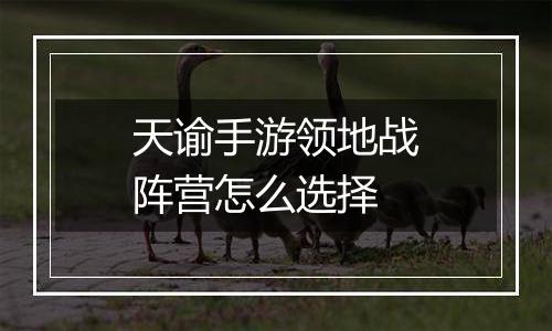 天谕手游领地战阵营怎么选择