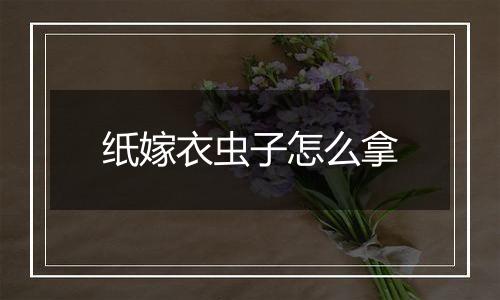 纸嫁衣虫子怎么拿