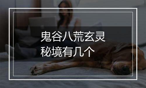 鬼谷八荒玄灵秘境有几个