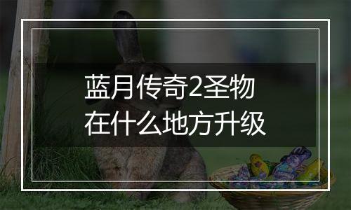 蓝月传奇2圣物在什么地方升级