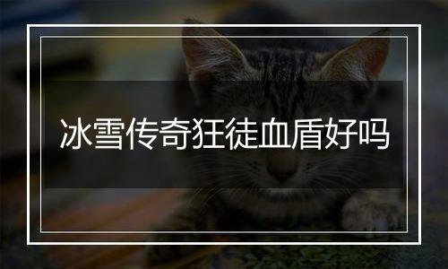 冰雪传奇狂徒血盾好吗