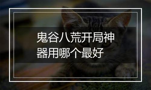 鬼谷八荒开局神器用哪个最好