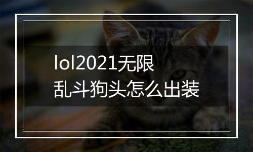 lol2021无限乱斗狗头怎么出装