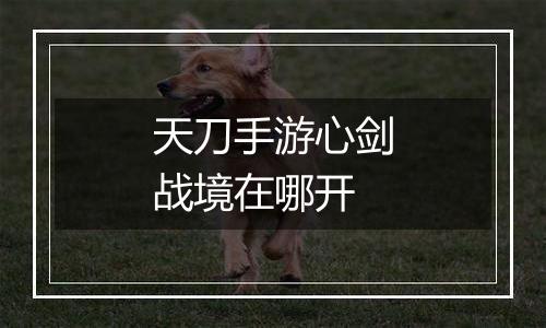 天刀手游心剑战境在哪开
