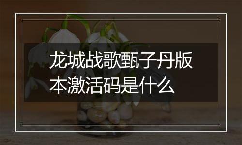 龙城战歌甄子丹版本激活码是什么