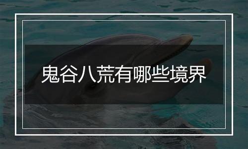 鬼谷八荒有哪些境界