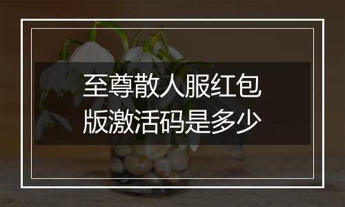 至尊散人服红包版激活码是多少