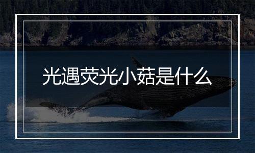 光遇荧光小菇是什么