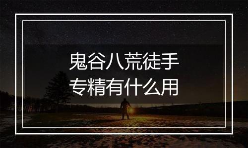 鬼谷八荒徒手专精有什么用