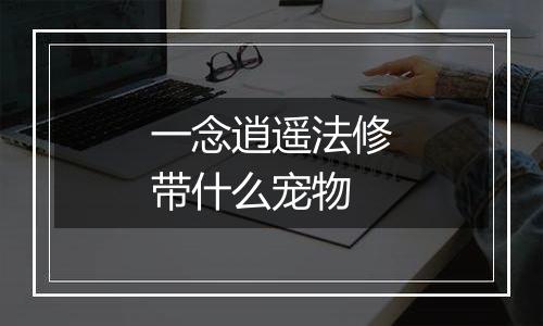 一念逍遥法修带什么宠物